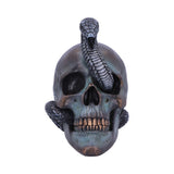 Front Serpentine Fate Gothic Snake Skull Ornament Nemesis Now