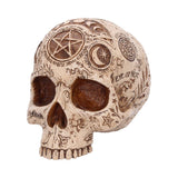 Front Side of Apothecary Gothic Skull Figurine Nemesis Now B7537B26