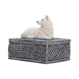 Ghost Wolf Trinket Box with Lid Nemesis Now U7752C26