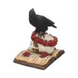 Heartaches Reflection Raven Skull Rose Gothic Skull Ornament Nemesis Now C0748C4