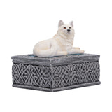 Side front Ghost Wolf Trinket Box with Lid Nemesis Now U7752C26