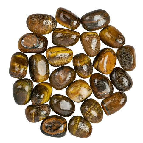 Gold Tiger's Eye Polished Tumblestone Tiger Tumble Stone Selection