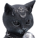 Head Feligor Black Cat Cult Cuties Figurine Nemesis Now B7736C26
