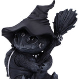 Head Shellial Tortoise Bewitching Cult Cuties Collectible Figurine Nemesis Now B6912C24