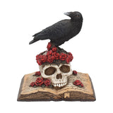 Heartaches Reflection Raven Skull Rose Gothic Skull Ornament Nemesis Now C0748C4 front