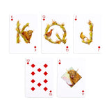 Diamonds Highland Coo Cow Jan Pashley Playing Cards Deck