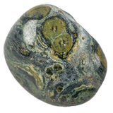 A Kambaba Jasper Polished Tumblestone Tumble Stone Selection