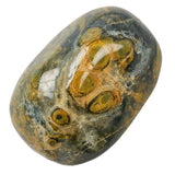 Kambaba Jasper Polished Tumblestone Tumble Stone Selection
