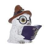 Cornelius Owl Figurine with Hat and Book Nemesis Now U7417A26 Left Side on