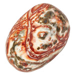 Leopardskin Jasper Polished Tumblestone Tumble Stone Example