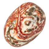Leopardskin Jasper Polished Tumblestone Tumble Stone Example