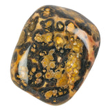 Leopardskin Jasper Polished Tumblestone Tumble Stone