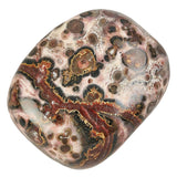 Leopardskin Jasper Polished Tumblestone Tumble Stone