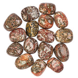 Selection Leopardskin Jasper Polished Tumblestone Tumble Stone
