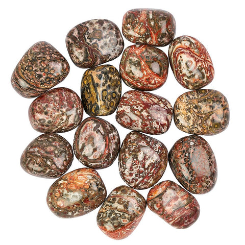 Selection Leopardskin Jasper Polished Tumblestone Tumble Stone