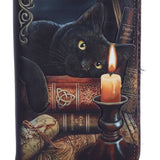 Close up Artwork of Lisa Parker Witching Hour Witch Black Cat Purse Nemesis Now B3939K8