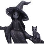 Head Close Up Little Souls Beam Witch Black Cat on Broom Figurine  Nemesis Now B6937C24 