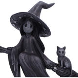 Head Close Up Little Souls Beam Witch Black Cat on Broom Figurine  Nemesis Now B6937C24 