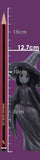 Size Guide Little Souls Beam Witch Black Cat on Broom Figurine  Nemesis Now B6937C24 
