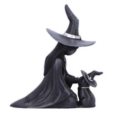 Side Little Souls Twilight Witch with Cat in Matching Hats Figurine