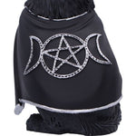 Lycarion Cult Cuties Gothic Figurine Nemesis Now B7245C25 Cape