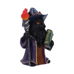 Side Magnus Wizard Cat Fantasy Figurine Nemesis Now U7006A25