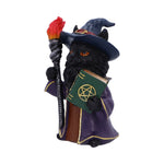 Magnus Wizard Cat Fantasy Figurine Nemesis Now U7006A25 Side