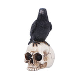 Front Side Nevermore Vigil Raven Standing on Skull Figurine Nemesis Now