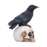 Side n Nevermore Vigil Raven Standing on Skull Figurine Nemesis Now