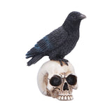 Front Nevermore Vigil Raven Standing on Skull Figurine Nemesis Now