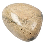 One from Silver Leaf Jasper Polished Tumblestone Tumble Stone Medium