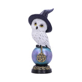 Owl's Charm Gothic Figurine Nemesis Now u5719u1