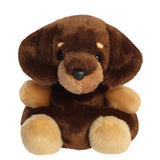 Front Palm Pals Houdini Dachshund Dog Soft Plush Toy Aurora World