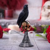 Display scene Perched Prophecy Raven on Skull Figurine Nemesis Now U7048M25