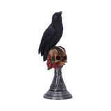 Perched Prophecy Raven on Skull Figurine Nemesis Now U7048M25