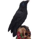 Top Perched Prophecy Raven on Skull Figurine Nemesis Now U7048M25