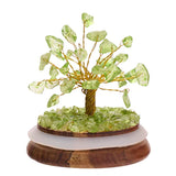 Peridot Gemstone Tree of Life in Glass Dome 30Chips