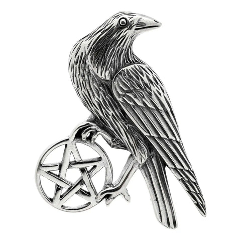 Raven Pentagram Pendant on Silver Chain Necklace