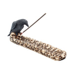 Black Raven Perched On A Skull Incense Stick Holder 25cm Nemesis Now NEM2836 front side