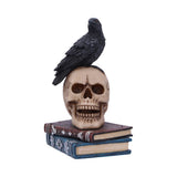 Front Side Raven's Spell Raven Perches on Human Cranium Figurine Nemesis Now