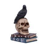 Front Raven's Spell Raven Perches on Human Cranium Figurine Nemesis Now