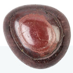 Red Tiger's Eye Polished Tumblestone Example Tiger Tumble Stone Medium