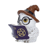 Right Side On Cornelius Owl Figurine with Hat and Book Nemesis Now U7417A26