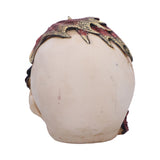 Back of Skull Rose Flame Decorative Skull With Sleeping Red Dragon Nemesis Now U7070B25