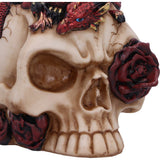 Close up Rose Flame Decorative Skull With Sleeping Red Dragon Nemesis Now U7070B25
