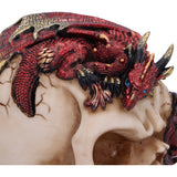 Top Rose Flame Decorative Skull With Sleeping Red and gold Dragon Nemesis Now U7070B25