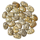 Selection Dalmatian Jasper Polished Tumblestone Medium Tumble  Stone