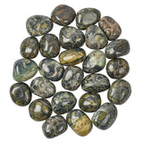 Kambaba Jasper Polished Tumblestone Tumble Stone Selection