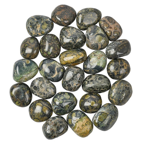 Kambaba Jasper Polished Tumblestone Tumble Stone Selection