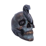 Serpentine Fate Gothic Snake Skull Ornament Nemesis Now front side